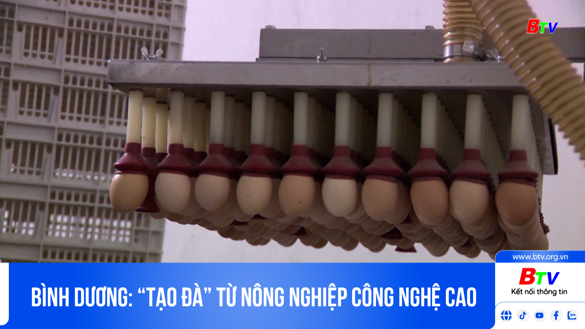 Bình Dương: “tạo đà” từ nông nghiệp công nghệ cao